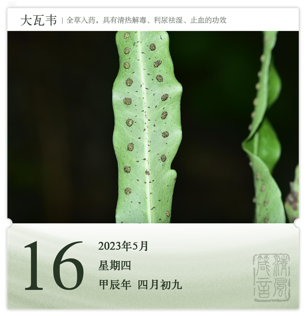 1714275572446207.png 箴历日历5-16.png