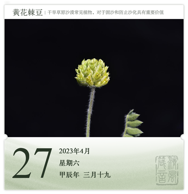 箴历日历4-27.png