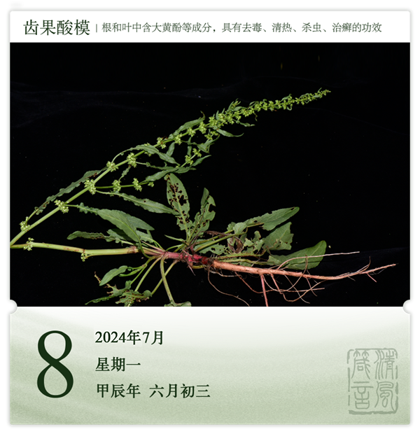 1720151060808075.png 箴历日历7-8.png