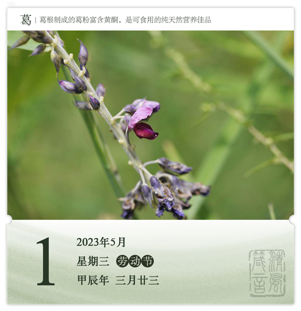 1714273847641471.png 箴历日历5-1.png