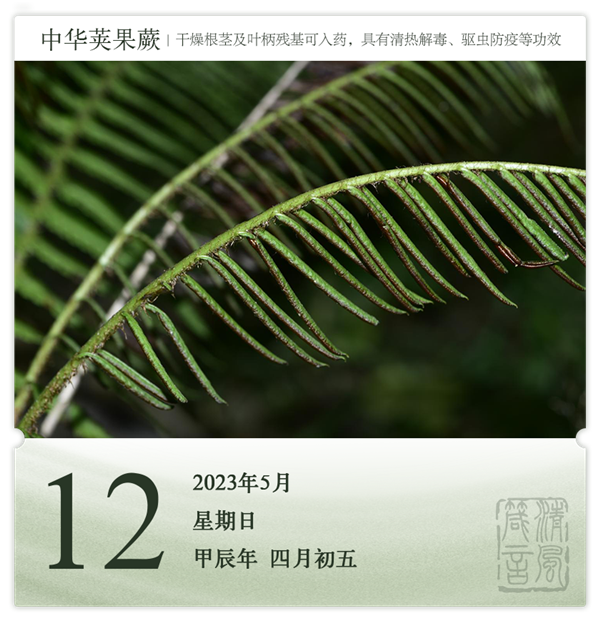 1714275345551640.png 箴历日历5-12.png