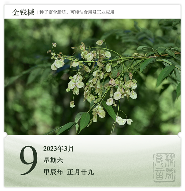 1709882611619595.png 箴历日历3-9.png