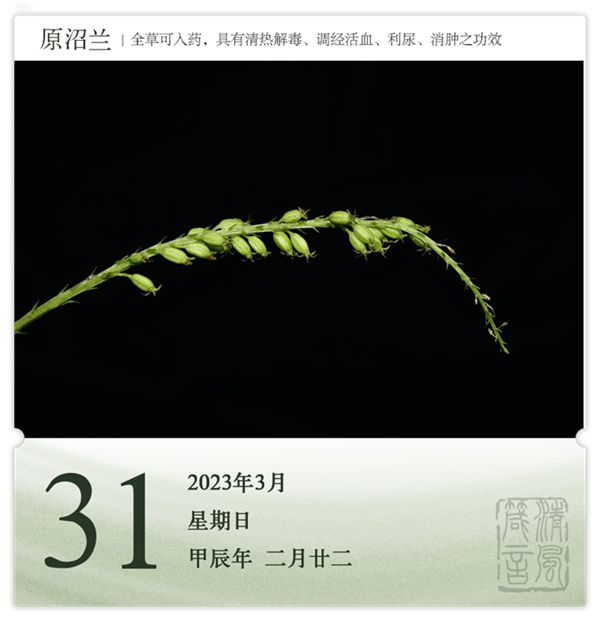 1710387993708683.png 箴历日历3-31.png