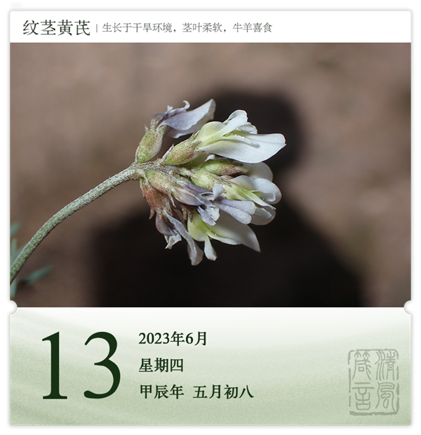 1717743471131742.png 箴历日历6-13.png