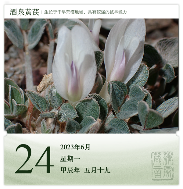 1718093030630852.png 箴历日历6-24.png