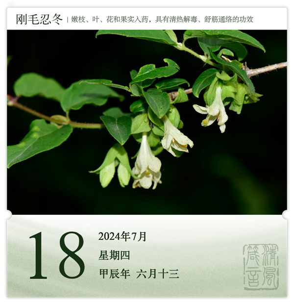 1721207086412594.png 箴历日历7-18.png