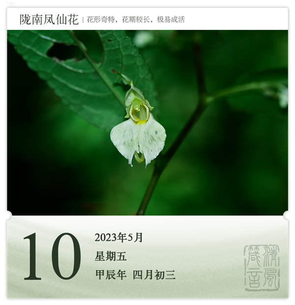 1714275252948069.png 箴历日历5-10.png
