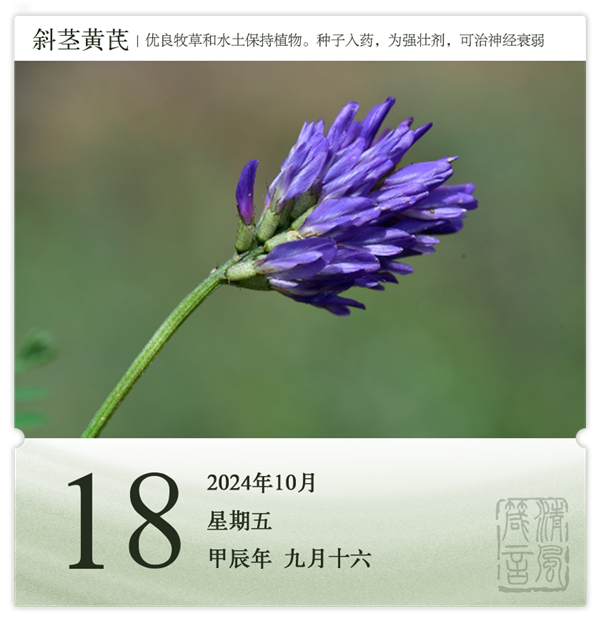 1728979932546504.png 箴历日历10-18.png