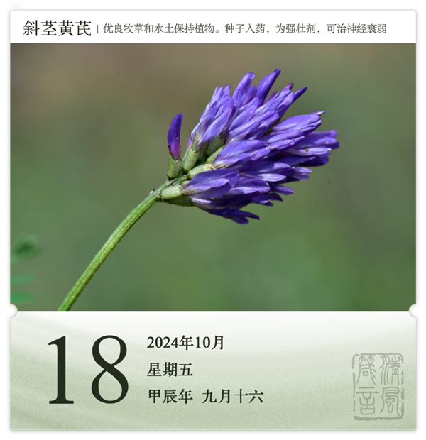 箴历日历10-18.png