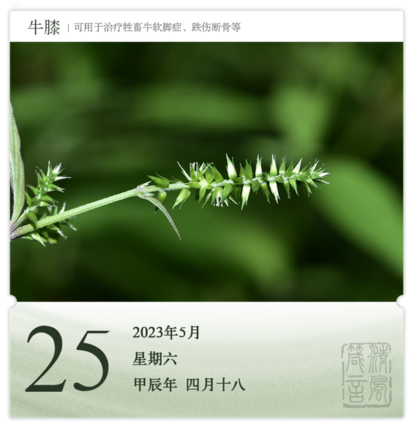1714286326531733.png 箴历日历5-25.png