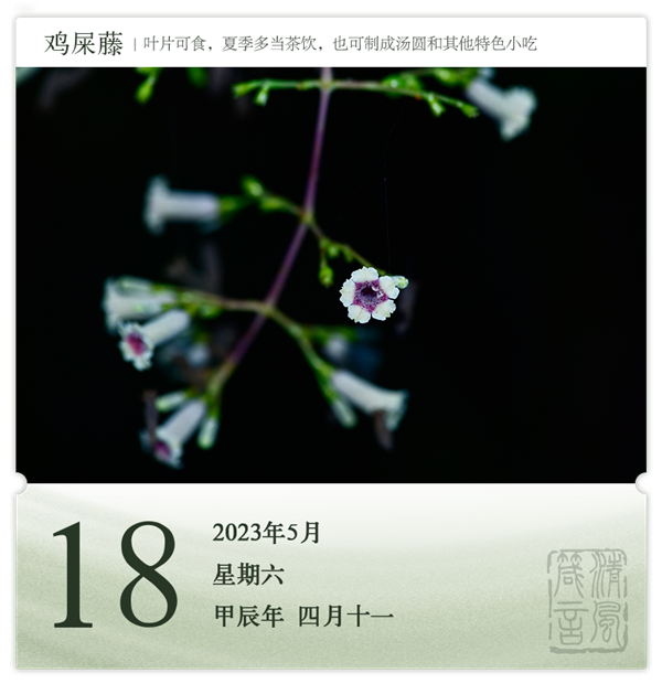 1714275675454008.png 箴历日历5-18.png