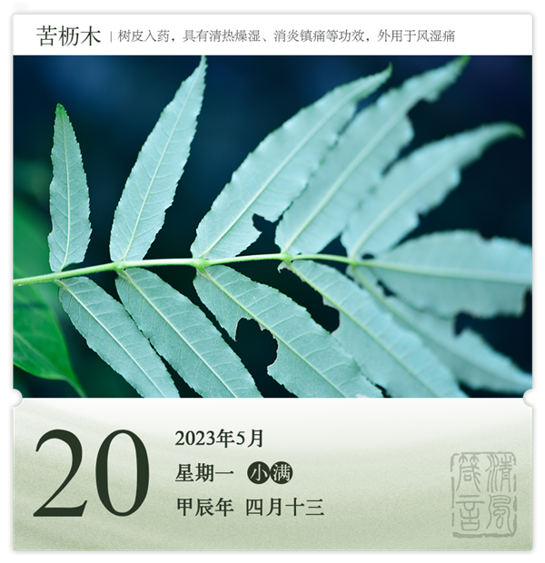 1714275771307512.png 箴历日历5-20.png