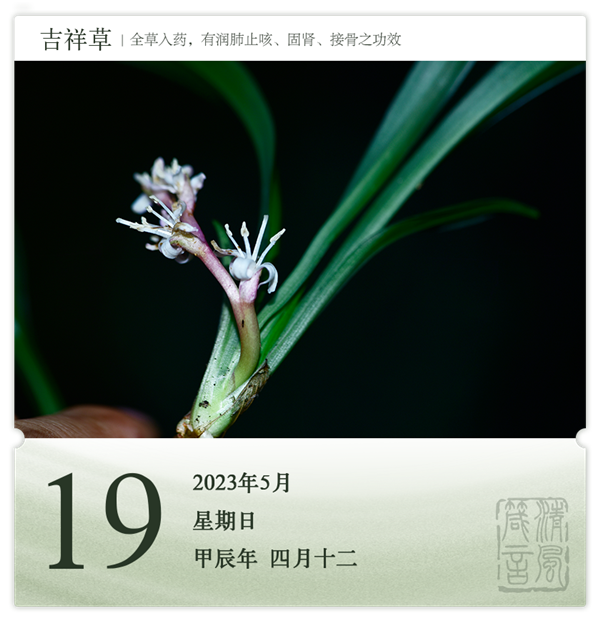 1714275725720793.png 箴历日历5-19.png