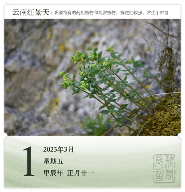 1709193267217115.png 箴历日历3-1.png