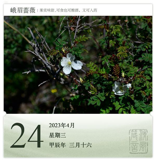 1713857515565650.png 箴历日历4-24.png