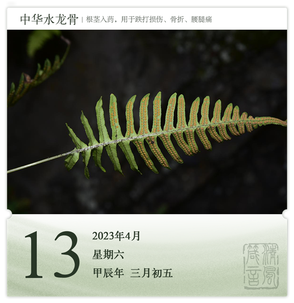 1712821606277295.png 箴历日历4-13.png