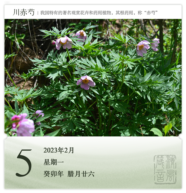1706686164877060.png 箴历日历2-5.png