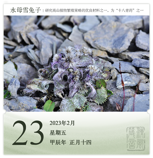 1708312368857691.png 箴历日历2-23.png