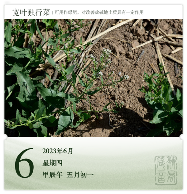 1717408435210285.png 箴历日历6-6.png