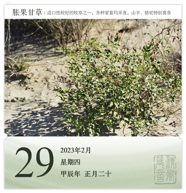 1708312997667914.png 箴历日历2-29.png