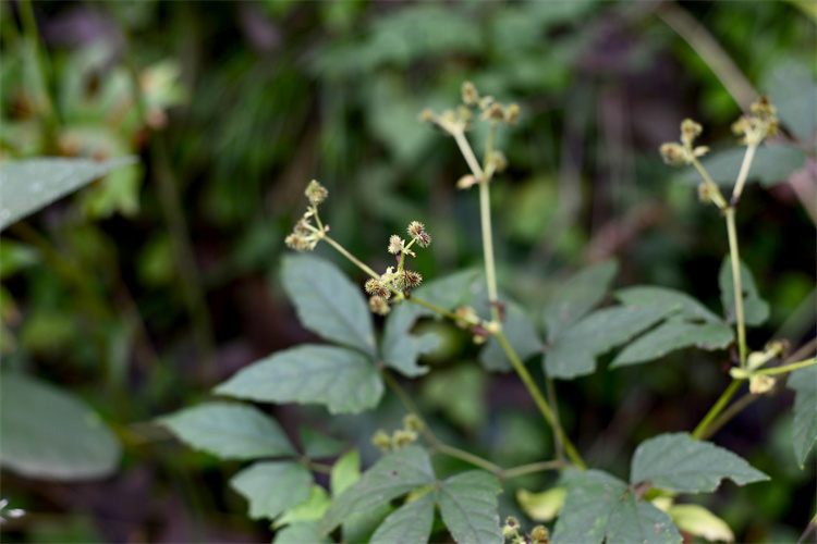 1756370820102100.jpg _0OB3831.JPG