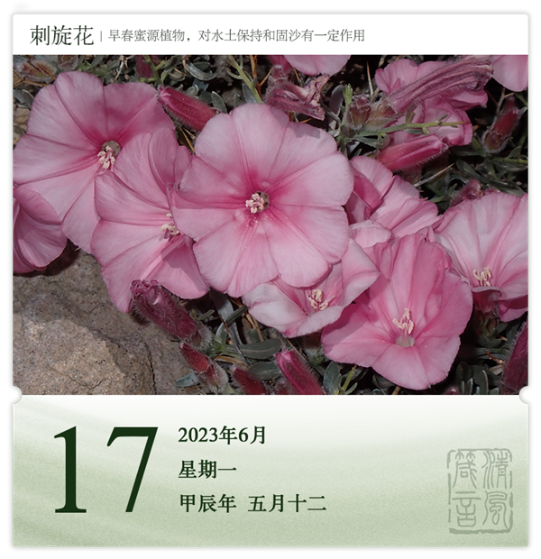 箴历日历6-17.png