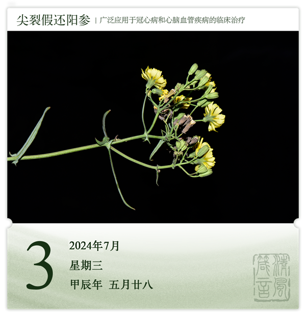 1719904771103339.png 箴历日历7-3.png