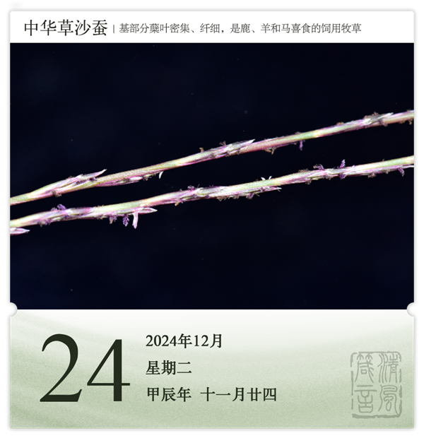 箴历日历12-24.png