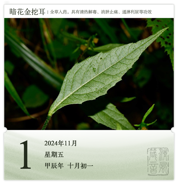 箴历日历11-1.png