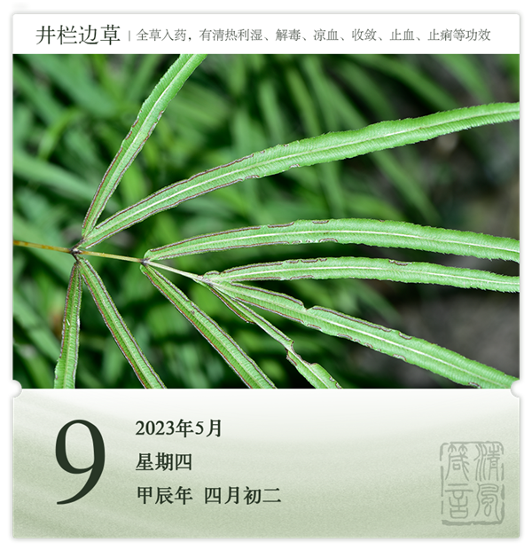 1715151448661475.png 箴历日历5-9.png